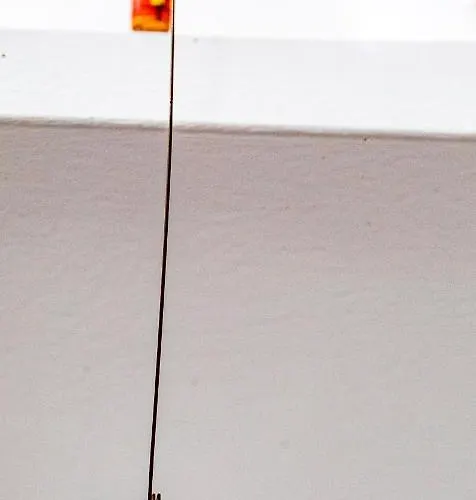 El Patio De Franky *