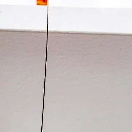 El Patio De Franky *